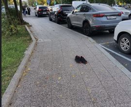 Великий кризис